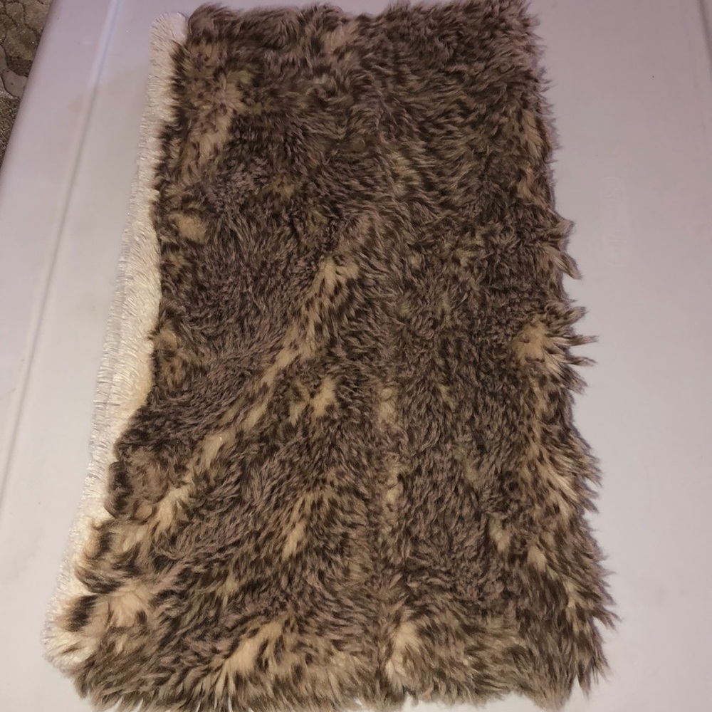 American Eagle Scarf